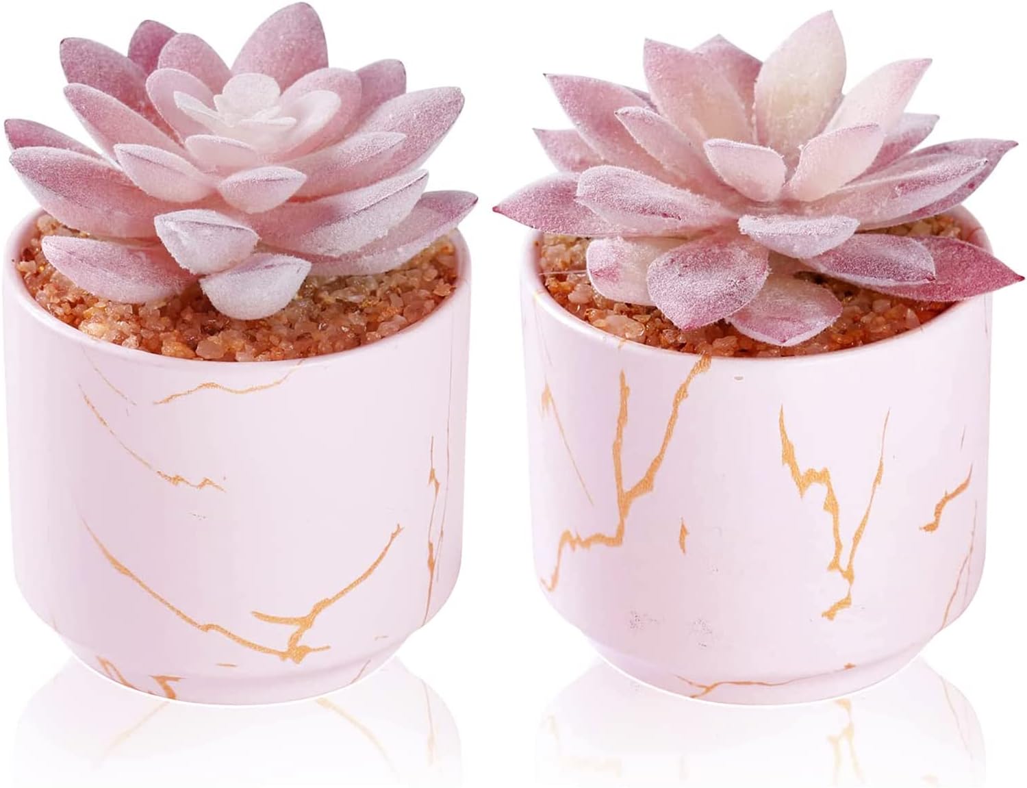 Artificial Plants and Succulents in 2 White Ceramic Pots,Small Fake Plants for Office and Desk Decor,Bathroom, Bedroom,Shelves for Women