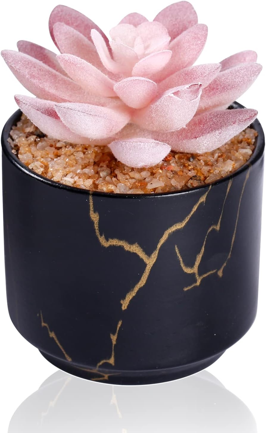 Artificial Plants and Succulents in 2 White Ceramic Pots,Small Fake Plants for Office and Desk Decor,Bathroom, Bedroom,Shelves for Women