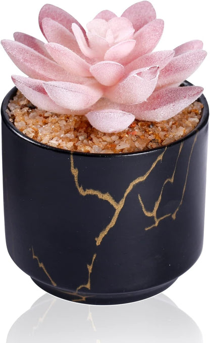 Artificial Plants and Succulents in 2 White Ceramic Pots,Small Fake Plants for Office and Desk Decor,Bathroom, Bedroom,Shelves for Women