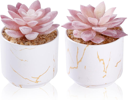 Artificial Plants and Succulents in 2 White Ceramic Pots,Small Fake Plants for Office and Desk Decor,Bathroom, Bedroom,Shelves for Women