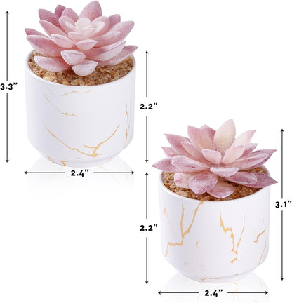 Artificial Plants and Succulents in 2 White Ceramic Pots,Small Fake Plants for Office and Desk Decor,Bathroom, Bedroom,Shelves for Women